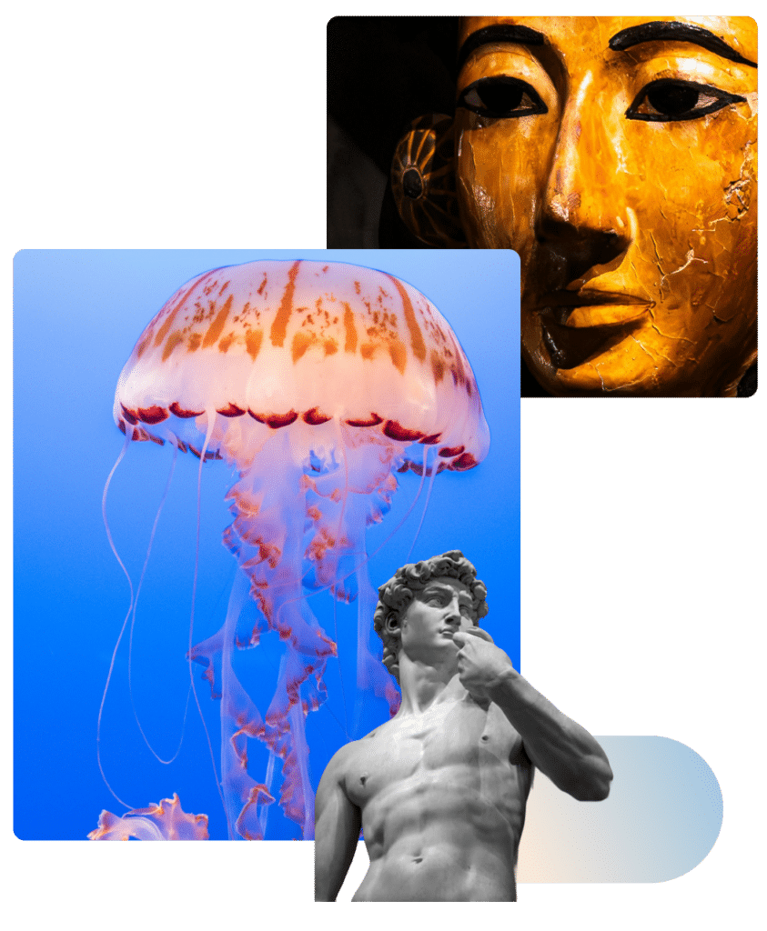 Collage of a jellyfish, ancient mask, and classical sculpture representing the range of cultural institutions Muse supports.