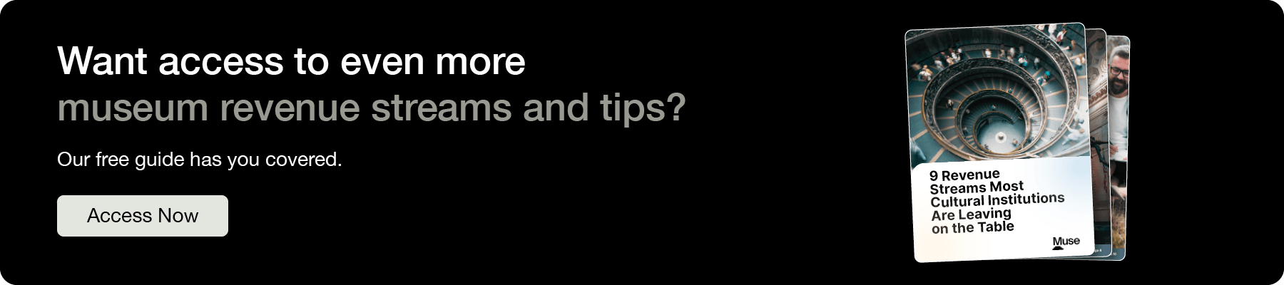 Want access to even more museum revenue streams and tips? Click for the free guide.